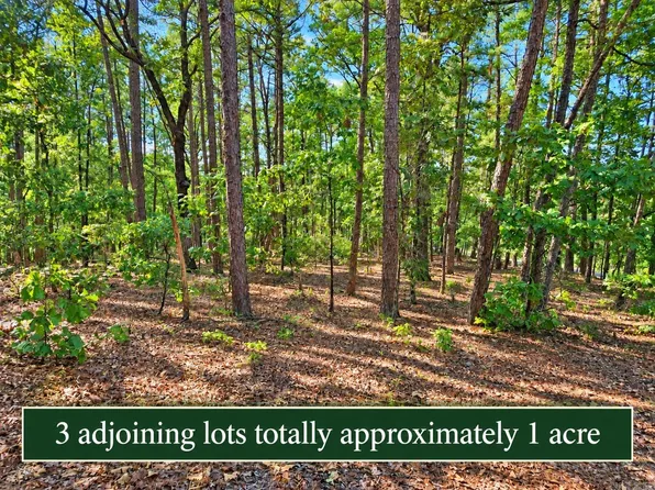 2-4 And 6 Cobrar Pl, Hot Springs Village, AR 71909