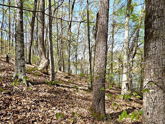 5th image of 9 Clark Ln Lot 9