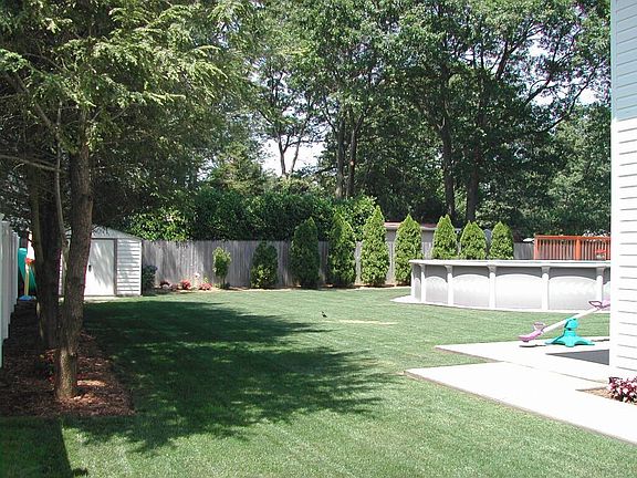 Backyard 1