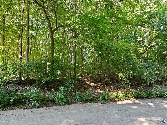 3rd image of 1013 Berry Ln