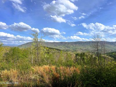 250 County Road 476 Lot 5, Englewood, TN, 37329