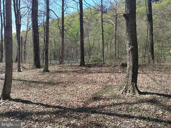 3rd image of 1257 Briary Bottom Ln