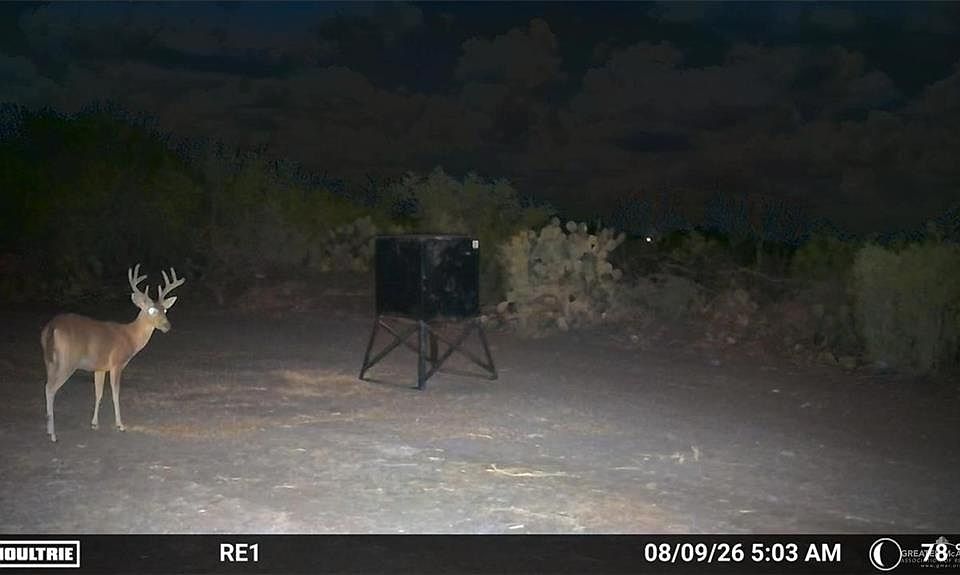 1st image of Fm 2687