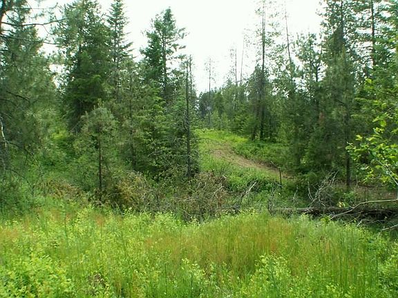 3rd image of 323992 Highway 2