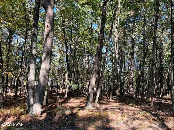 116 Primrose Ln Lot 31A, Dingmans Ferry, PA 18328