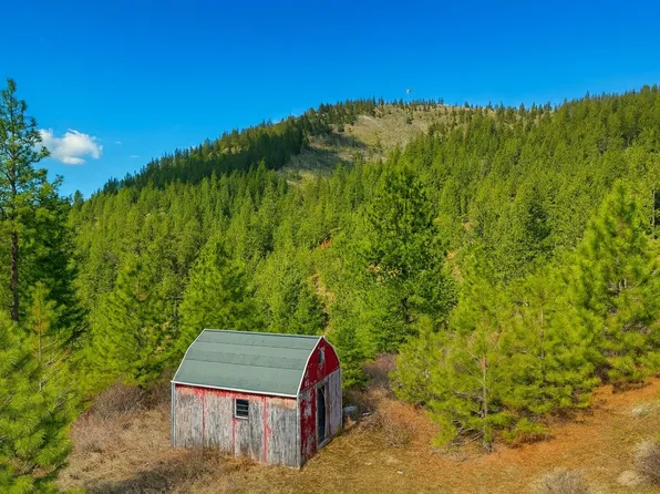 4 Ali Vista Way, Loon Lake, WA 99148