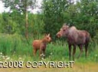 14125 Buffalo St, Anchorage, AK 99516