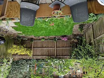 Rented by Harriet Brand, LREB