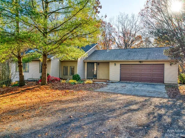 6027 Tory Ln, Chelsea, MI 48118