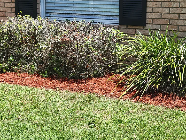 3602 Goldsbys Way — Photo 27