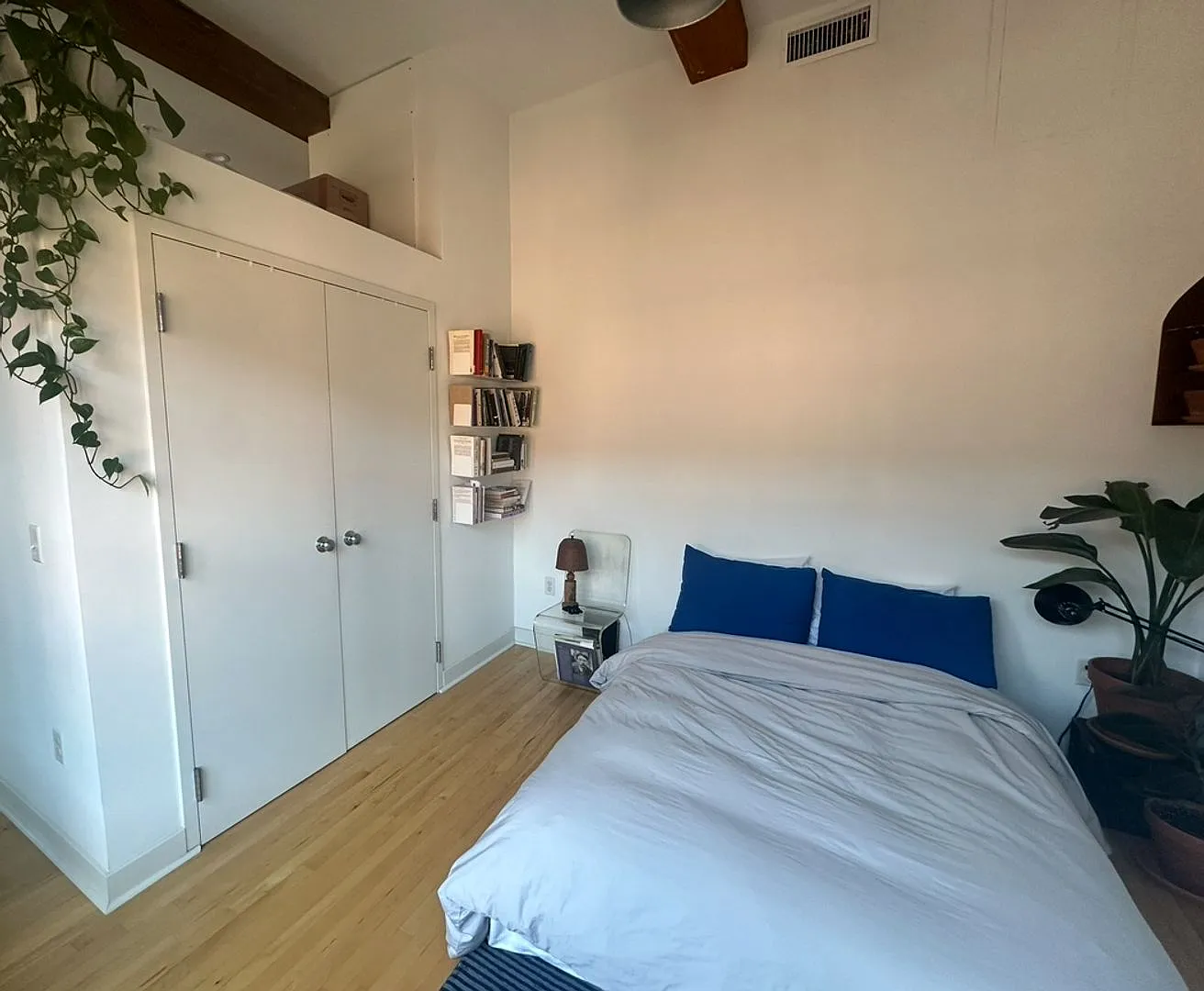 1 bed, 560 sqft, $1,800 — Photo 2
