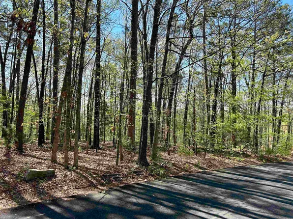 0 Wildwood Dr, Mountain View, AR 72560