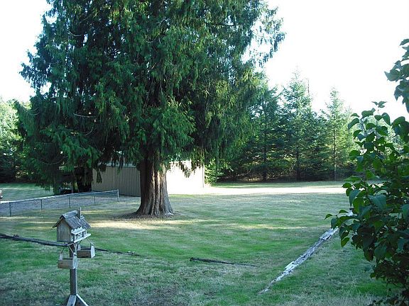 mid yard towards shop