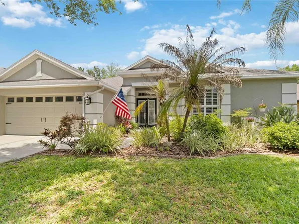 6110 Whimbrelwood Dr, Lithia, FL 33547