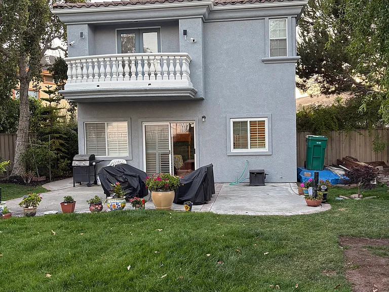 Back yard