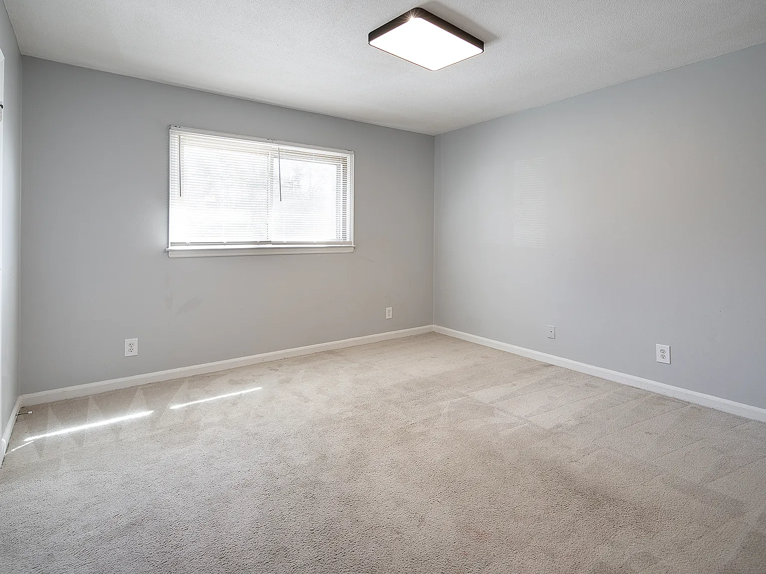 2 bed, 1.5 bath, 950 sqft, $1,350 — Photo 4