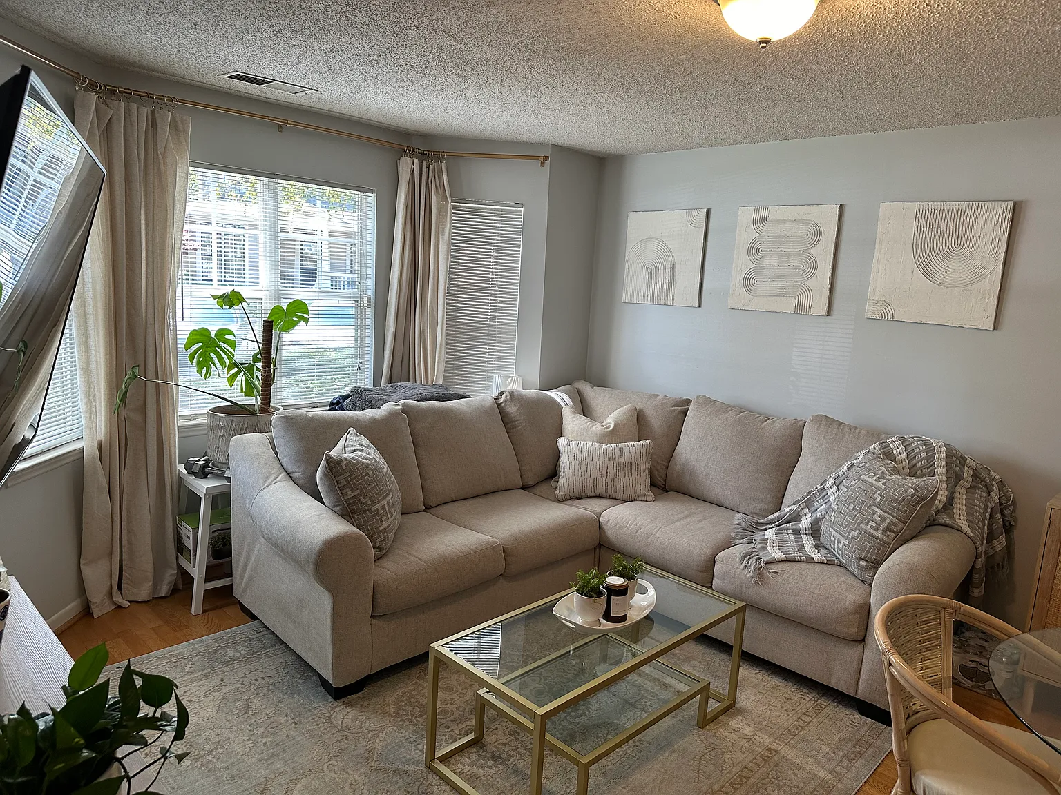 1 bed, 560 sqft, $1,625 — Photo 3