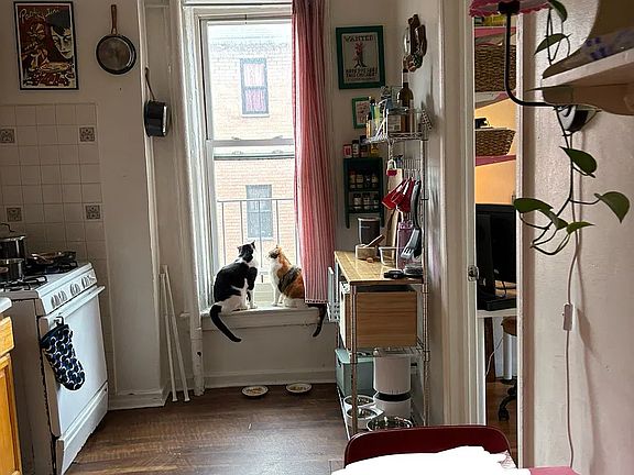 4th image of 272 Troy Ave APT 2R