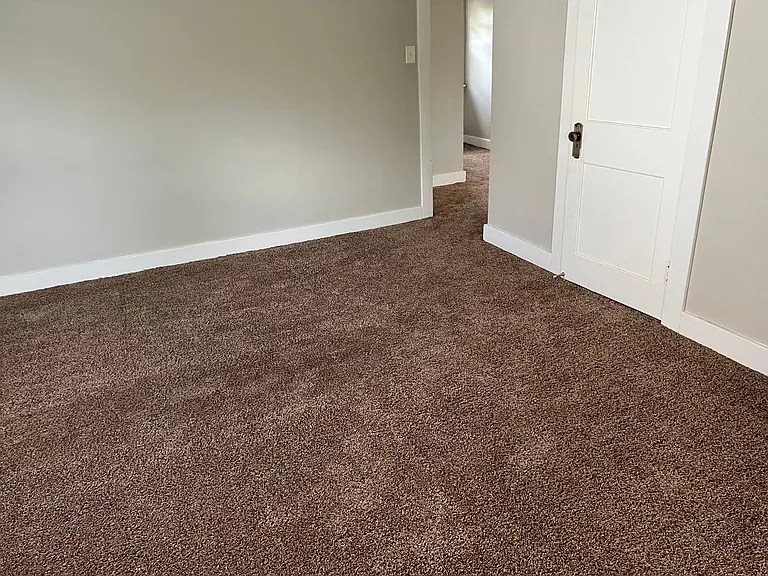 53 E Bruce Ave — Photo 4