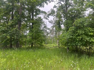 Wheeler Rd, Johannesburg, MI, 49751
