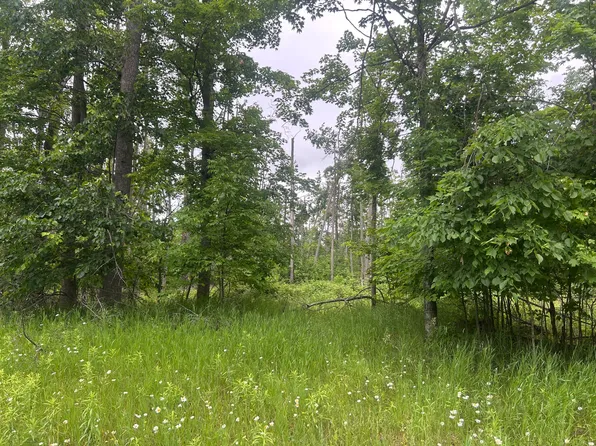 Wheeler Rd, Johannesburg, MI 49751