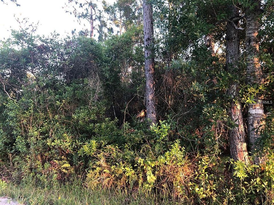 2nd image of 8975 Lincoln Rd