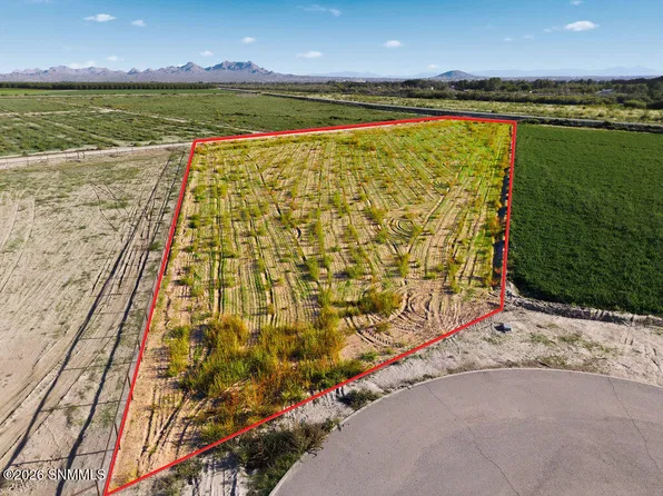 3600 Valle Verde Ct, Las Cruces, NM 88007