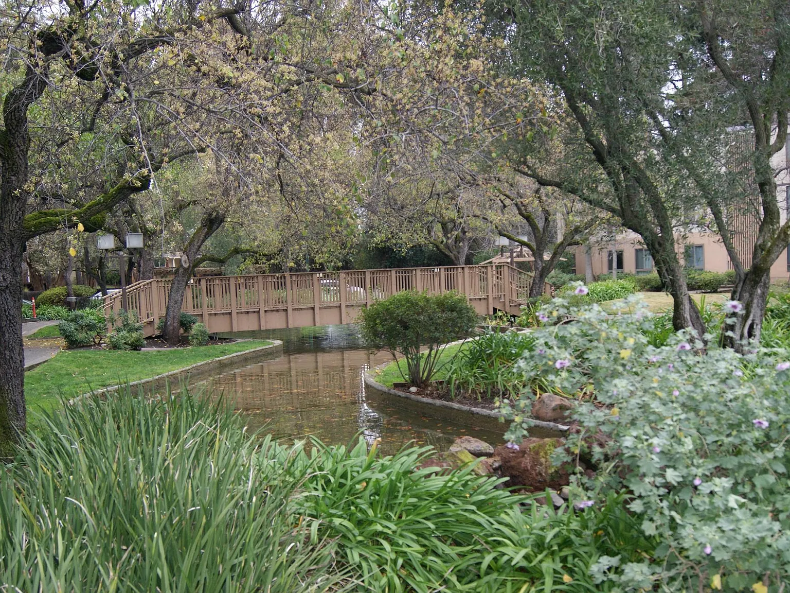 2 bed, 1023 sqft, $2,700 — Photo 2