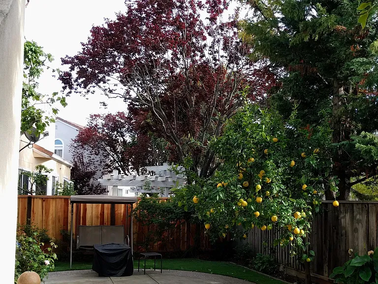 34300 Eucalyptus Ter — Photo 5