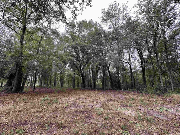 0 Kelly Day Rd #21, Pelion, SC 29123