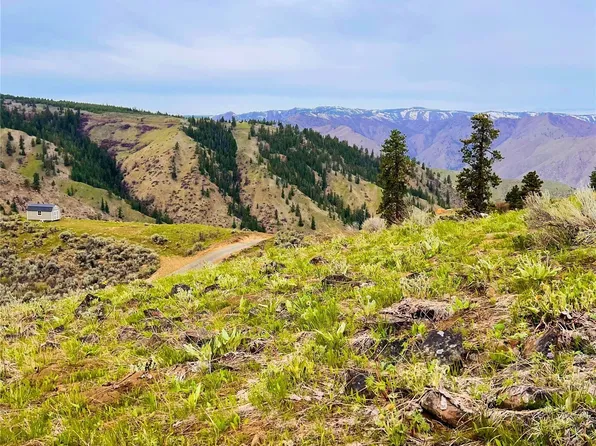 66 Coyote Lane, Waterville, WA 98843