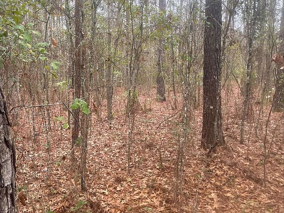 5th image of 111 High Way