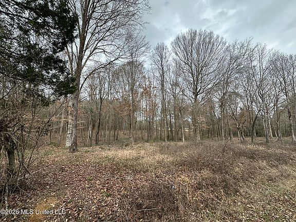 2nd image of 0 Futch Rd