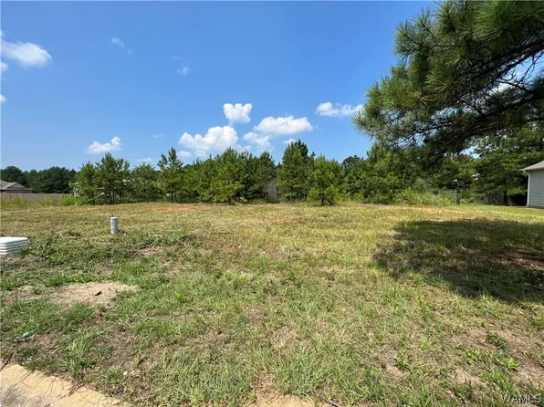 100 Crimson Ridge Rd, Brookwood, AL 35444