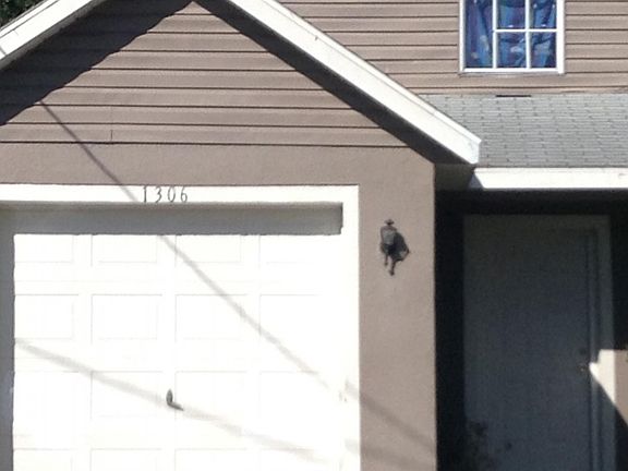 2nd image of 1306 Casa Bonita Ave