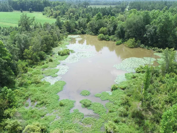 0 Handy Kennedy & Henry Moxley Rd, Cobbtown, GA 30420
