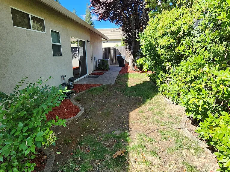 Backyard/Patios