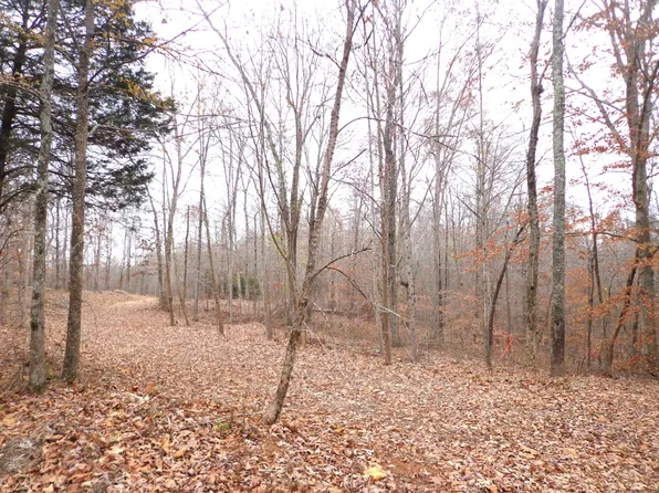 0 Hillcrest Rd, Waverly, TN 37185