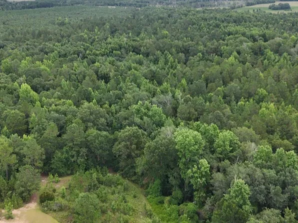 0 Chauncey Rhine Hwy, Chauncey, GA 31011