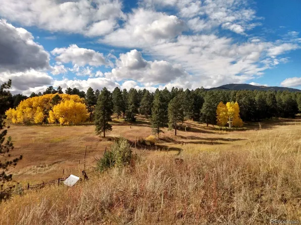 Spring Creek Road, Buffalo Creek, CO 80425