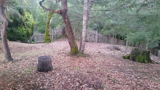2nd image of 2545 Coyote Rd