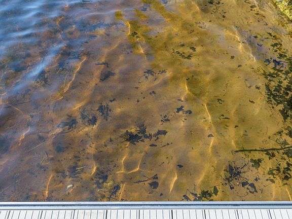 5th image of 2718 Green Bass Rd