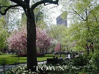 Rented by Town Residential