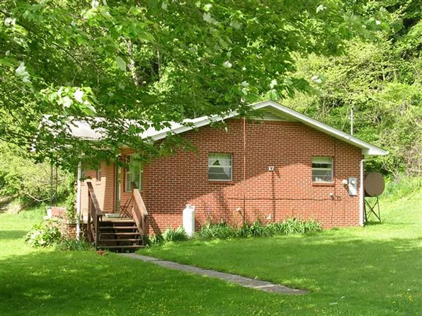 17 Clinton Ln, Barnardsville, NC 28709