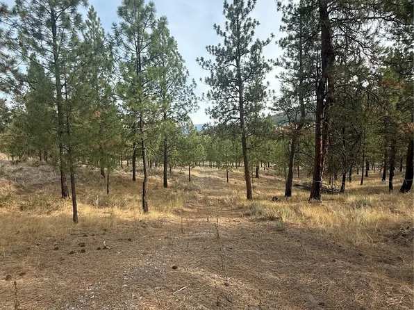 67 W Bannon Creek Road, Tonasket, WA 98855