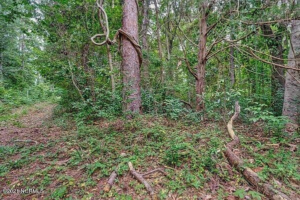1st image of 5034 Moonlight Ln