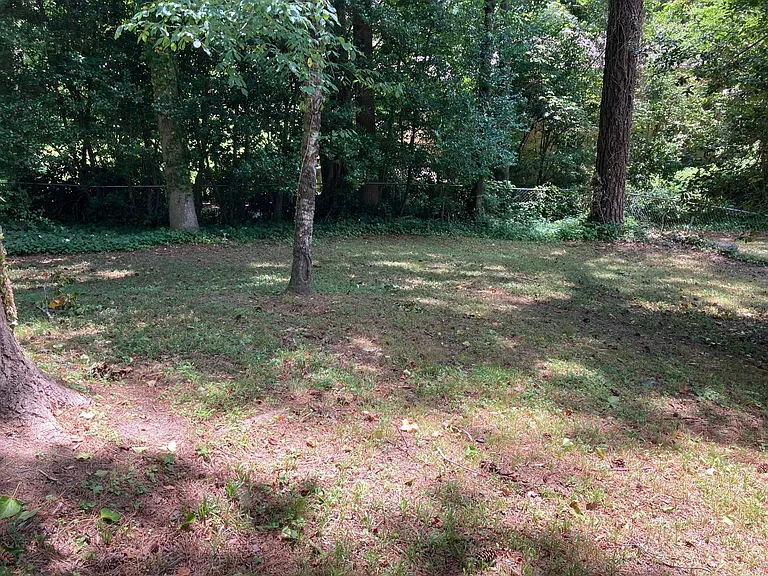 Backyard fenced