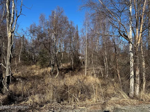 5501 E Tamarack Cir, Wasilla, AK 99654