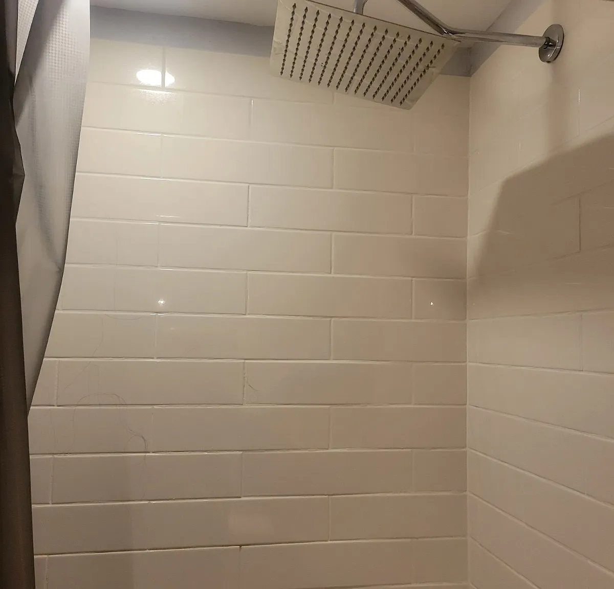 3 bed, $1,800 — Photo 3