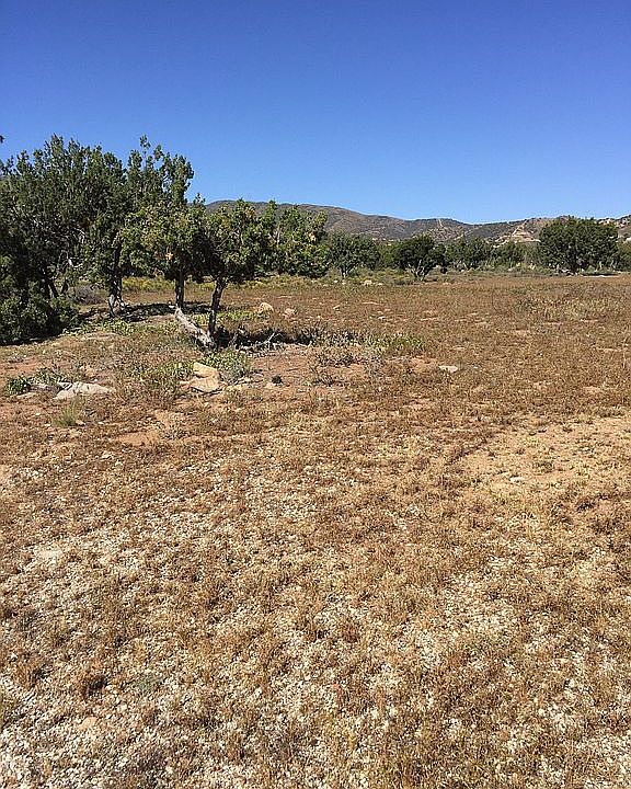 1st image of Cor Sierra Hwy Shannonda